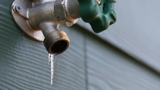 Best Emergency Plumbing Repair  in Homer, AK
