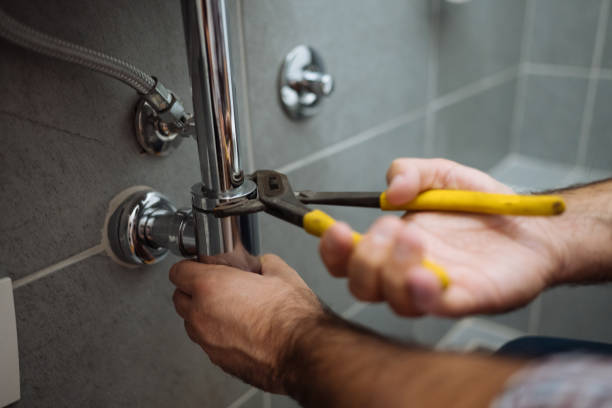 Best Leak Detection Services  in Homer, AK