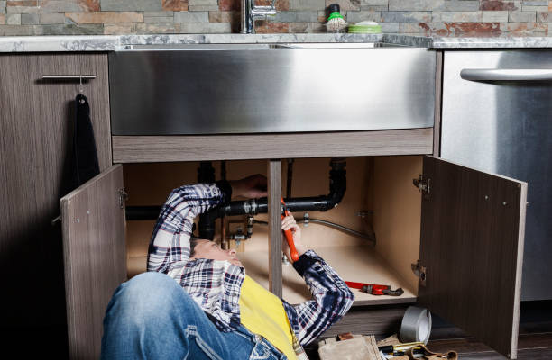 Best Local Plumber Services  in Homer, AK